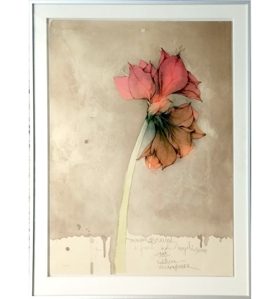Bruno Bruni - Amaryllis II